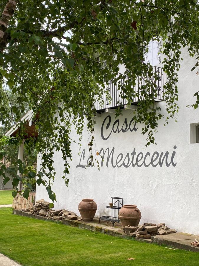 Country Club La Mesteceni Sebes  Exterior photo