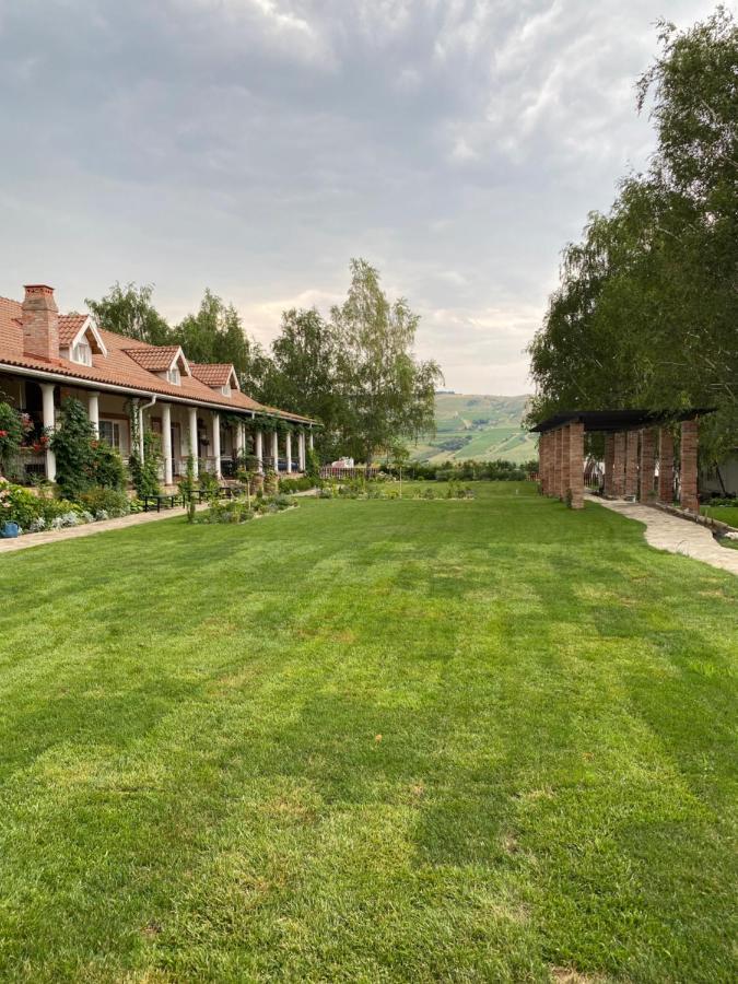 Country Club La Mesteceni Sebes  Exterior photo