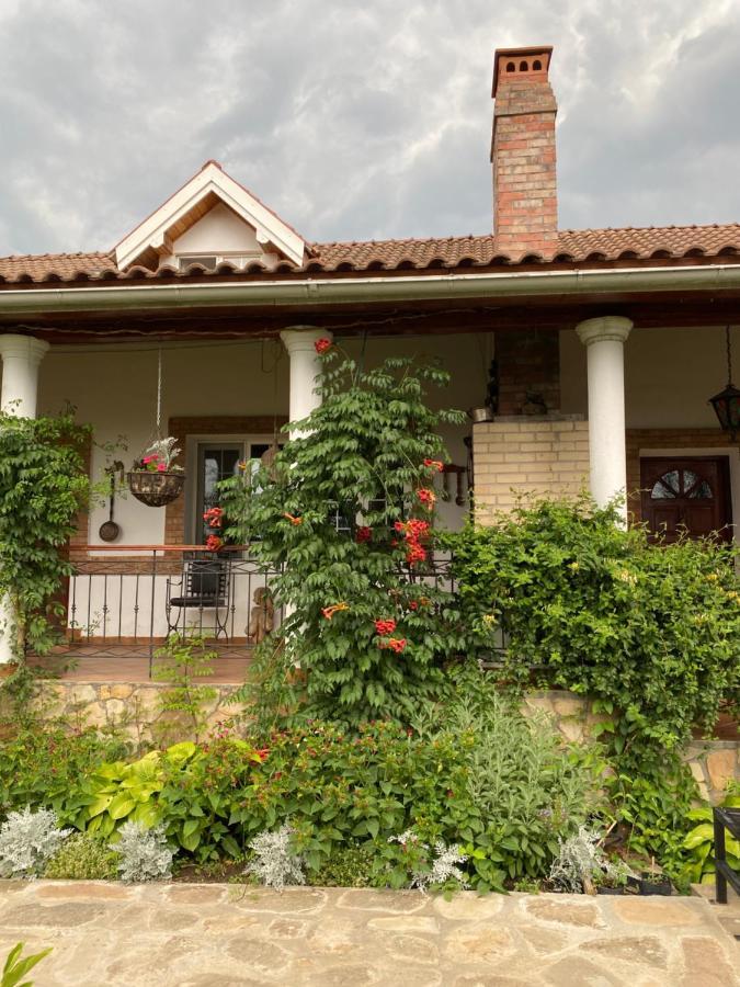 Country Club La Mesteceni Sebes  Exterior photo