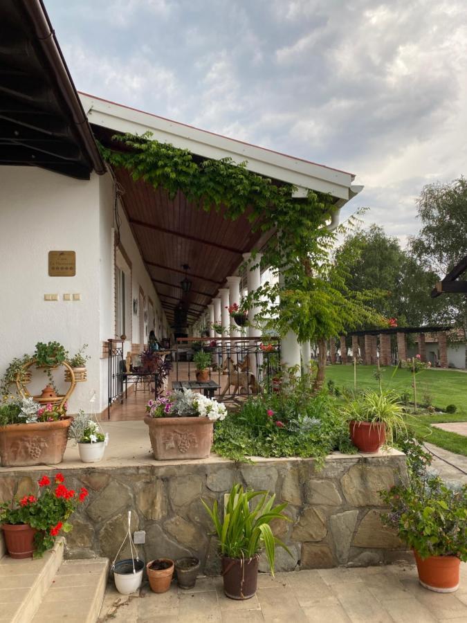 Country Club La Mesteceni Sebes  Exterior photo