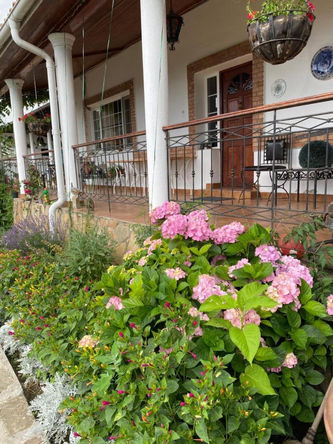 Country Club La Mesteceni Sebes  Exterior photo